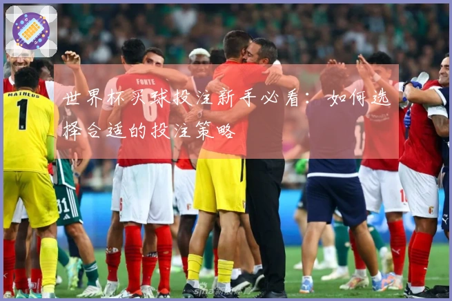 世界杯买球投注新手必看：如何选择合适的投注策略