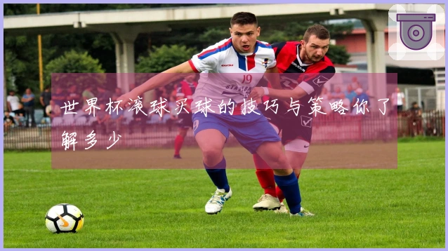 世界杯滚球买球的技巧与策略你了解多少