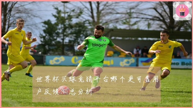 世界杯买球竞猜平台哪个更可靠用户反馈汇总分析