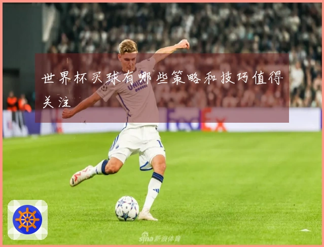 世界杯买球有哪些策略和技巧值得关注
