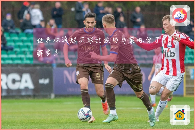 世界杯滚球买球的技巧与策略你了解多少